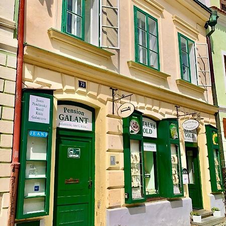 Apartman Galant Чешки Крумлов Екстериор снимка